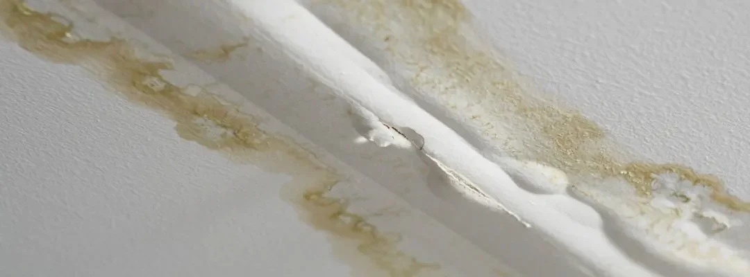 Sagging Ceiling Repairs: Causes, Signs and Options